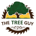 The Tree Guy